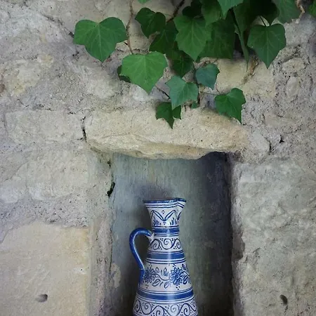 Le Moulin De La Peyriere Puylaurens Feriehus *